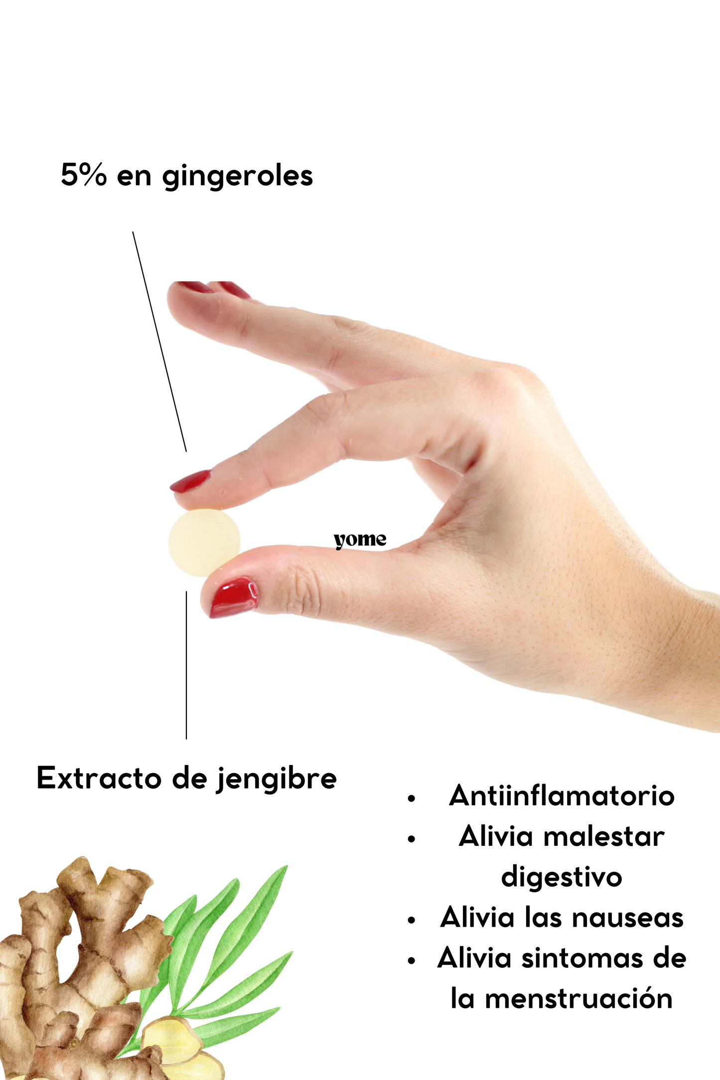 GINGER: Digestive well-being